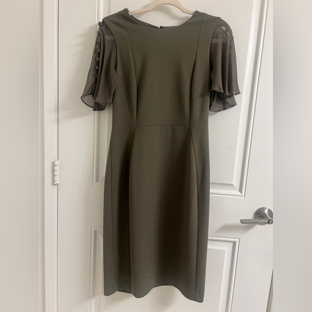 Elegant Calvin Klein Olive Green Dress with Sheer Sleeves